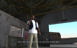 Tenpenny asks Carl if he's got the weed he was supposed to buy from The Truth, with Carl responding positively.