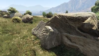 LDOrganicsProduct-GTAOe-Location91