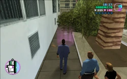 Tommy, Cam and Phil walking behind some bushes and palms to change into their new apparels.