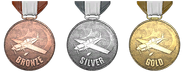 The medals earned for completing each stage.