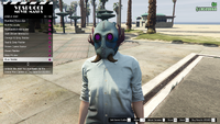 ArenaWar-GTAO-FemaleMasks38-BlueRaider