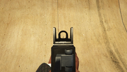 Iron sights.