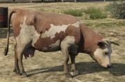 Cow-GTAV-brown&white