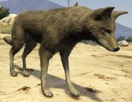 A coyote in the original version.