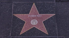WalkofFame-GTAVee-BobbieRay.jpg (131 KB) Bobbie Ray's star on the Vinewood Walk of Fame.