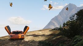 Butterflies in Grand Theft Auto V.
