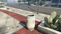 LDOrganicsProduct-GTAOe-Location26