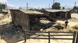 MerleAbrahams-GTAV-SenoraBeaconHouse