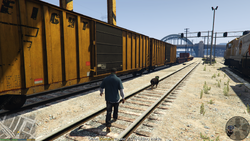 Searching train carriages.