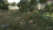 Peyote Plants GTAVe 22 El Burro Parking View.jpg