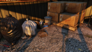 Belly-Up boxes in Cayo Perico in Grand Theft Auto Online.