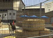 Director Mode Actors GTAVpc Animals Shepherd.png