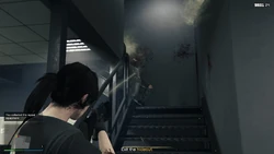 Two Professionals appear on the way out