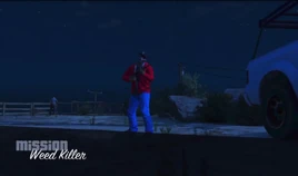 WeedKiller-Mission-GTAO