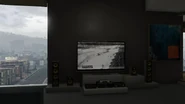 Television GTAV CCTV Online.jpg (28 KB) CCTV viewed in third person.
