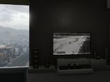 Television in GTA Online