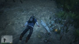 MerleAbrahams-GTAV-NorthPoint-Corpses-North.png (1.85 MB) MerleAbrahams-GTAV-NorthPoint-Corpses-North