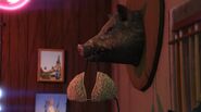 YellowJackInn-GTAV-PigHead.jpg (60 KB) A bra on pig head.