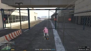 Go to LSIA and enter the plane.
