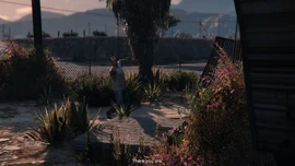 Trevor comes out of the trailer to speak with the protagonist.