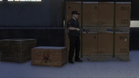 SecurityContract-AssetProtection-GTAOe-PostOpSinsimito-Sinsimito-SecuroServe.png (1.59 MB) Sinsimito crate with SecuroServe protection.