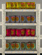 Cans of Bitch'n' Dog Food at a 24-7 outlet in GTA San Andreas. All the cans are labeled as having "Pussy Flavored Horse Eyelids" in the dog food.