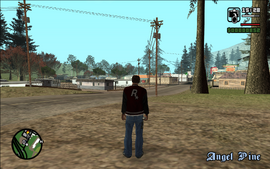 Carl is exiled from his home in Los Santos and is left in a small town in the south-east of San Andreas, called Angel Pine... Mission passed.