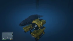 Close up with a whale