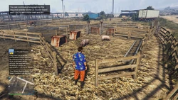 Continue photographing