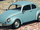 Weevil