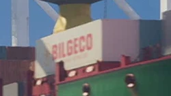 Bilgeco
