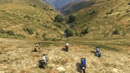 GTAO-Stream Racer Race