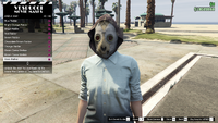 ArenaWar-GTAO-FemaleMasks47-StarsStalker