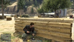 Assaulting the farm.