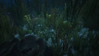 TreasureChests-GTAO-Location14