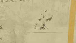 Map drawing closeup.
