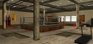 BelowTheBeltGym-GTASA-Interior