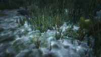 TreasureChests-GTAO-Location17