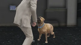 VinewoodSouvenirsKerry-GTAV-Dexie.png (953 KB) Trevor with Dexie.