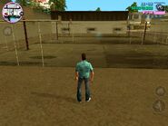 Tommy Vercetti from behind.