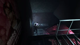 BahamaMamas-TBoGT-Interior-Stairs-Top