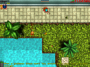 El Burro's dead body in Vice Shores Park, after being murdered by the GTA Protagonist.
