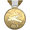 Flight School Gold GTA V.png