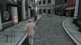 VinewoodSouvenirsKerry-GTAV-ChasingDexie.png (1.26 MB) Catching Dexie.