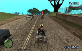 Carl and Catalina chasing and shooting at the bandits.