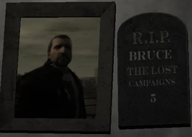 Bruce-TLAD.jpg (39 KB)