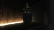 A small marijuana plant, trophy for completing the mission.