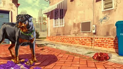 Chop at the Clinton Residence.