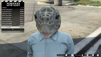 LosSantosSummerSpecial-GTAO-FemaleMasks-Animals10-MossTurtleMask