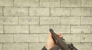 Aiming